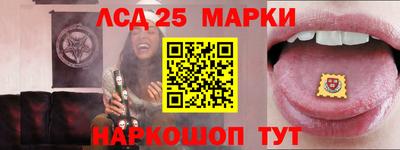 спиды Новозыбков