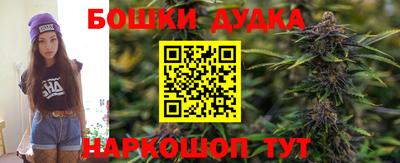 спиды Новозыбков